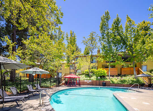 A small pool surrounded by trees and chairs.