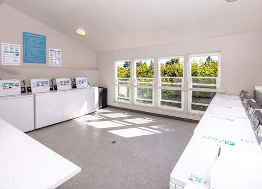 A room with white tables and a window overlooking a tree-filled area.