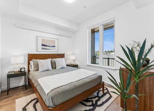 A bedroom with a large bed, a nightstand with a lamp, a framed picture on the wall, and a potted plant.