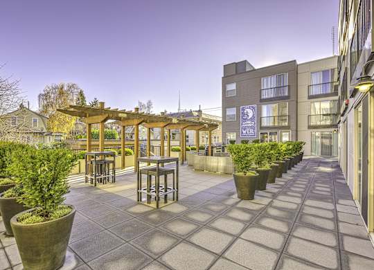 A patio area with a wooden pergola and potted plants.