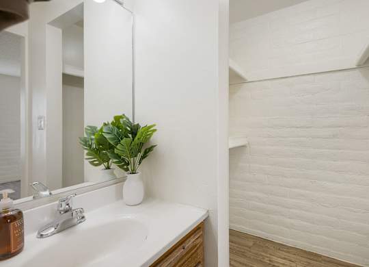A white sink with a plant in a white vase.