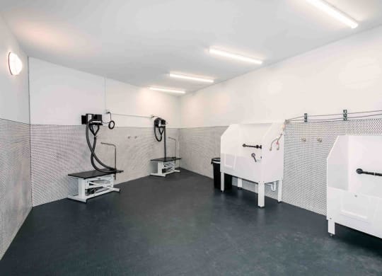 TriVista on Speer Pet Wash
