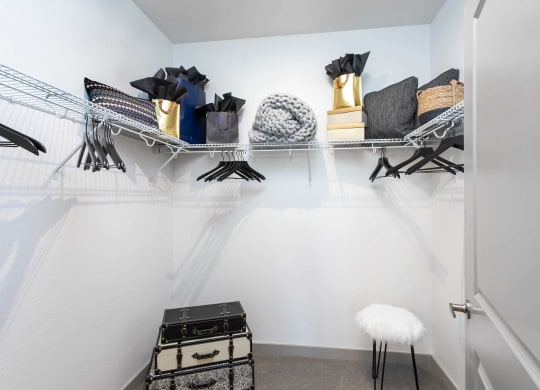 TriVista on Speer Model Large Closet