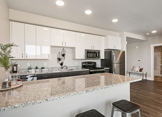 TheNest_Bend_OR_Interior_Model_203_Kitchen