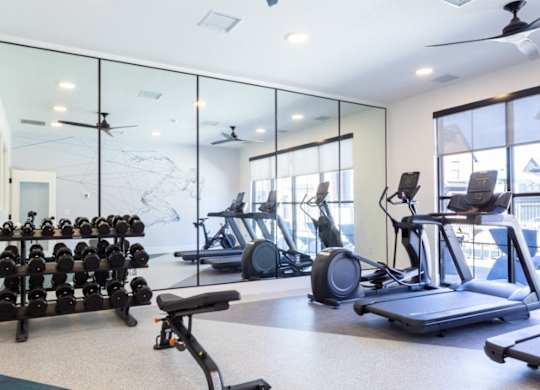 A well-equipped gym with a variety of exercise machines and weights.