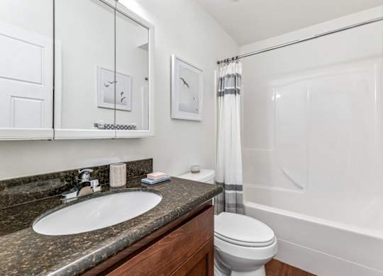 A bathroom with a sink, toilet, and bathtub.