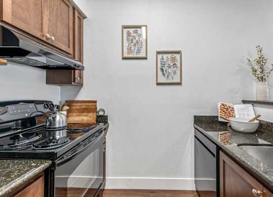 A kitchen with a black stove top oven and a granite counter top.