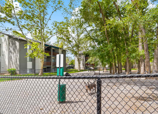 Clover Creek Fenced Dog Park