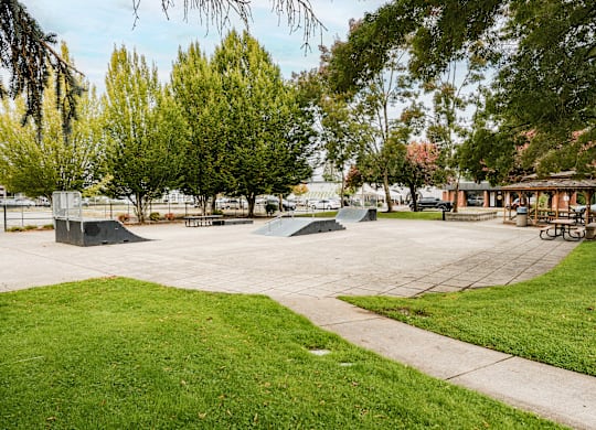 A park with a skate park and a picnic area.