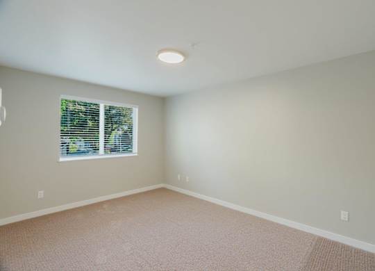 A room with a window and a carpeted floor.