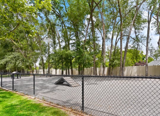Clover Creek Fenced Dog Park
