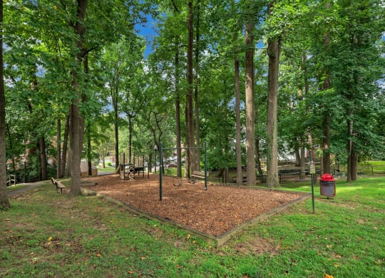 Falkland Chase Apartments in Silver Spring, Maryland Playground