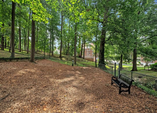 Falkland Chase Apartments in Silver Spring, Maryland Dog Park