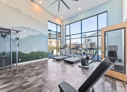 the private gym with weights and cardio equipment at the preserve at greatstone