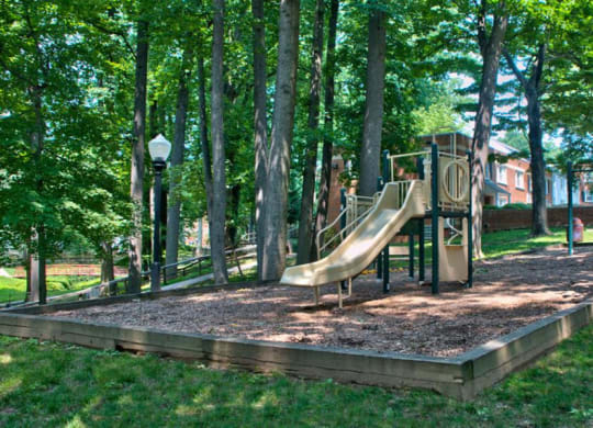 Falkland Chase Apartments in Silver Spring, Maryland Playground