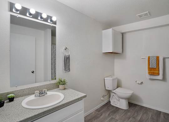 A bathroom with a white toilet and a sink with a mirror above it.