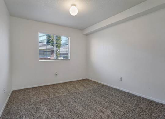 A room with a carpeted floor and a window with blinds.