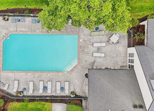 An aerial view of a swimming pool surrounded by lounge chairs and trees.