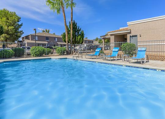 A swimming pool with blue water and a palm tree in the background.