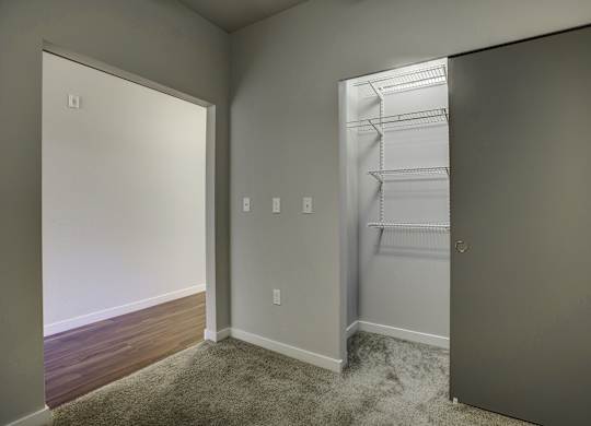 A room with a closet and a door.