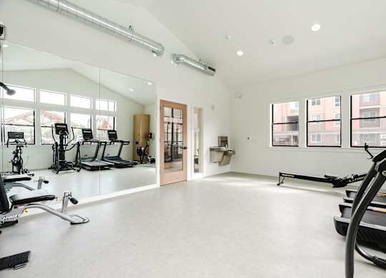 A spacious gym with a treadmill, elliptical machines, and other exercise equipment.