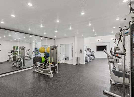 A gym with a variety of equipment including a treadmill, weights, and a bench press.