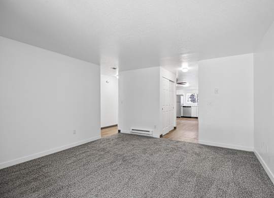 A room with a carpeted floor and a white wall.