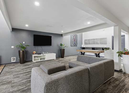 A modern living room with grey sofas and a television.