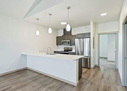 A modern kitchen with a white countertop and wooden flooring.