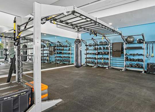 A gym with a blue wall and a variety of equipment.