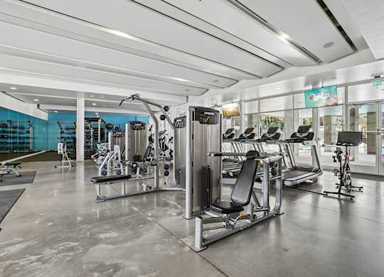 A gym with a variety of equipment including treadmills, weights, and exercise machines.