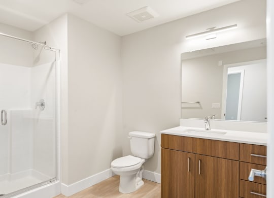 a bathroom with a shower toilet sink and mirror