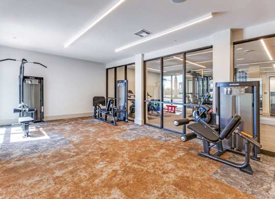 A gym with a variety of equipment including a treadmill, weights, and a bench press.