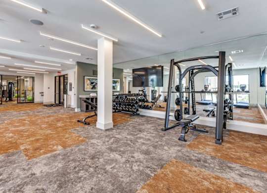 A gym with a variety of equipment including a treadmill, weights, and a bench press.