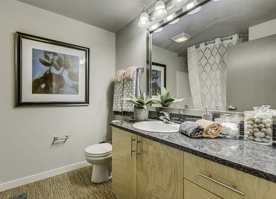 A bathroom with a toilet, sink, and a mirror.