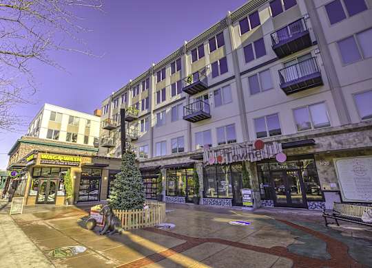 A street view of a shopping area with a building on the left and a tree in the middle.