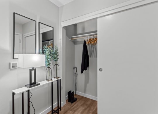 a closet with a mirror and a white door
