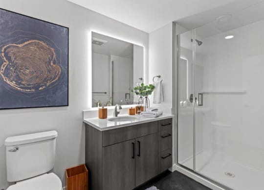 a bathroom with a shower and a sink and a mirror