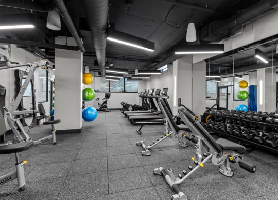 a gym with weights and dumbbells and other exercise equipment