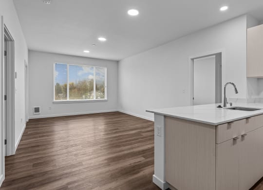 an empty kitchen and living room with a sink and counter top