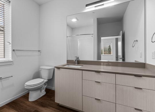 a bathroom with a toilet and a sink and a mirror