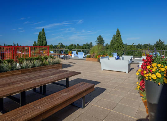 a roof terrace with benches and chairs and plants