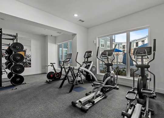A well-equipped gym with various exercise machines and weights.
