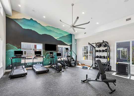 A gym with treadmills, exercise equipment, and a ceiling fan.