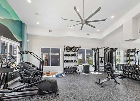 A gym with a variety of equipment including treadmills, weights, and a ceiling fan.