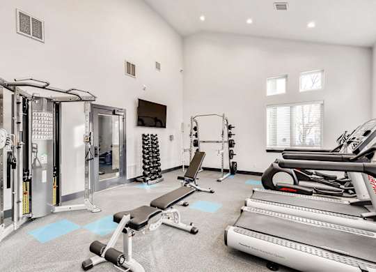A spacious gym with a variety of equipment including treadmills, weights, and a television.