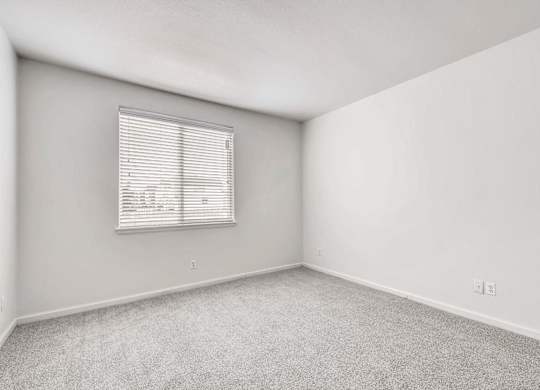 A room with a window and carpeted floor.