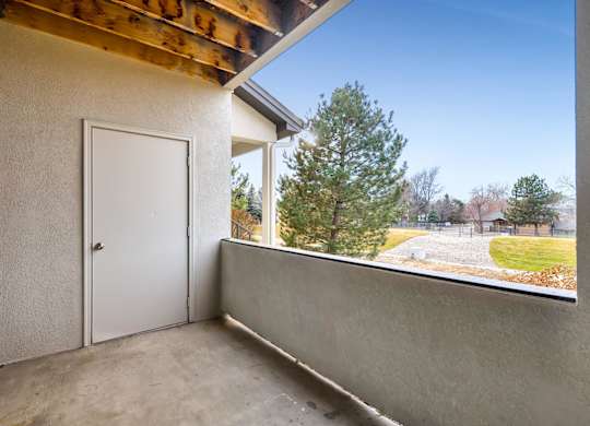 A room with a door and a window overlooking a tree.