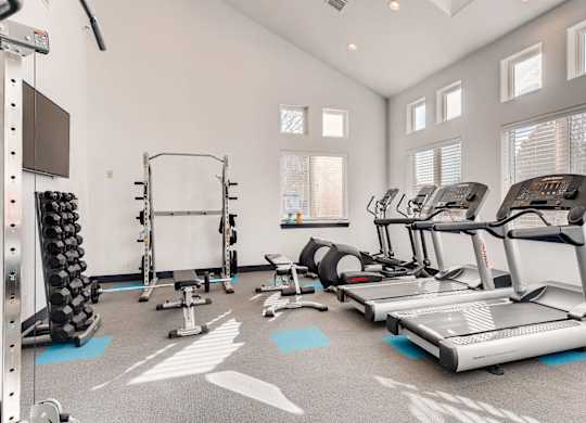 A spacious gym with treadmills, weights, and exercise equipment.