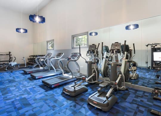 Alvista 23 Apartment Homes Fitness Center